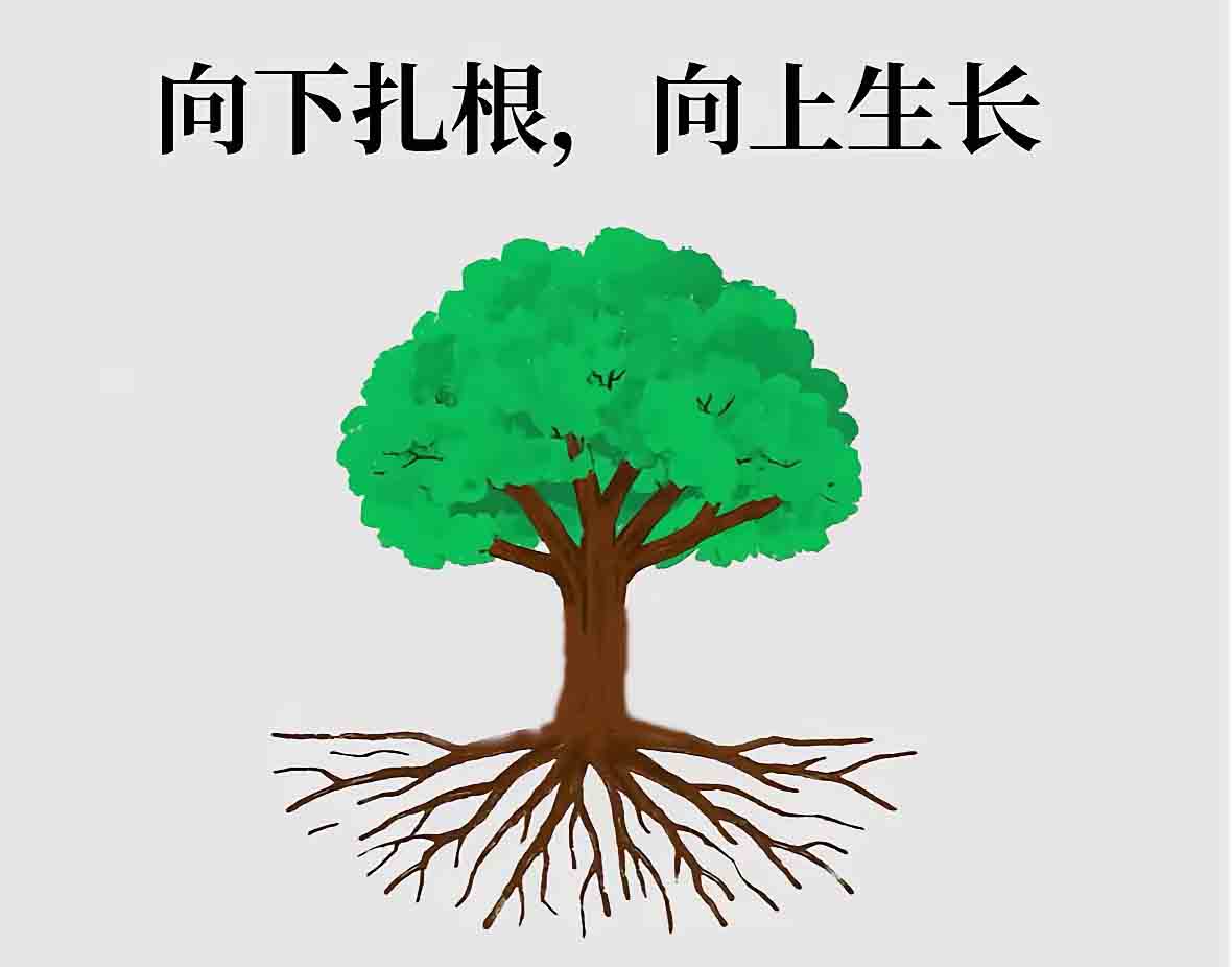 欢迎来到光合环境，2026 我们又见面了